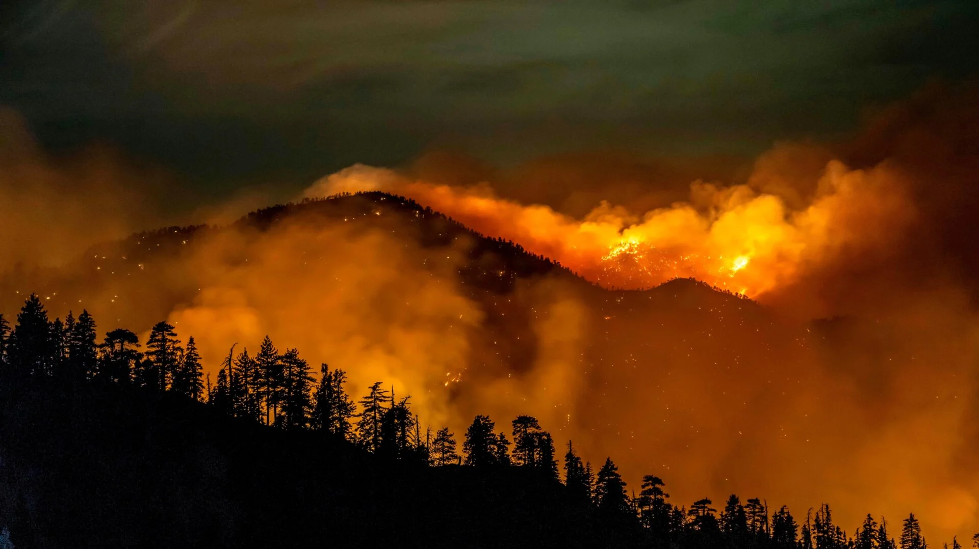 Airbnb oferă cazare gratuită victimelor incendiilor din LA