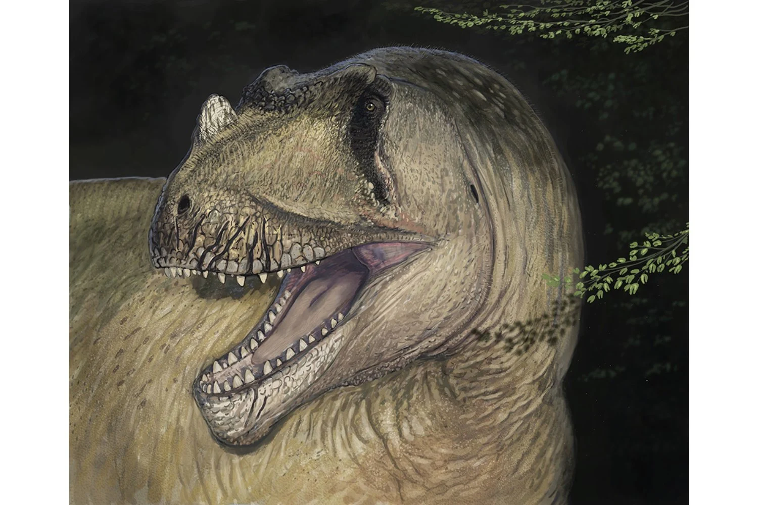 Paleontologii afirmă că au descoperit o nouă specie terifiantă de dinozaur în fotografii dinainte de al Doilea Război Mondial.