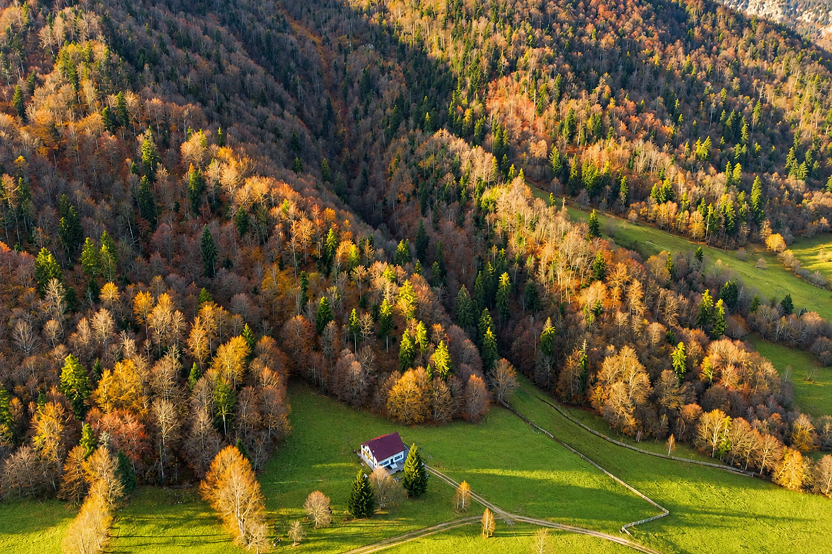 Cabana Zarnesti - Casa Dolce Far Niente din Zarnesti, pe o pajiste la marginea padurii
